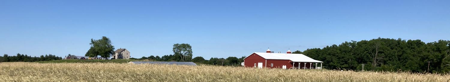 Barn in field